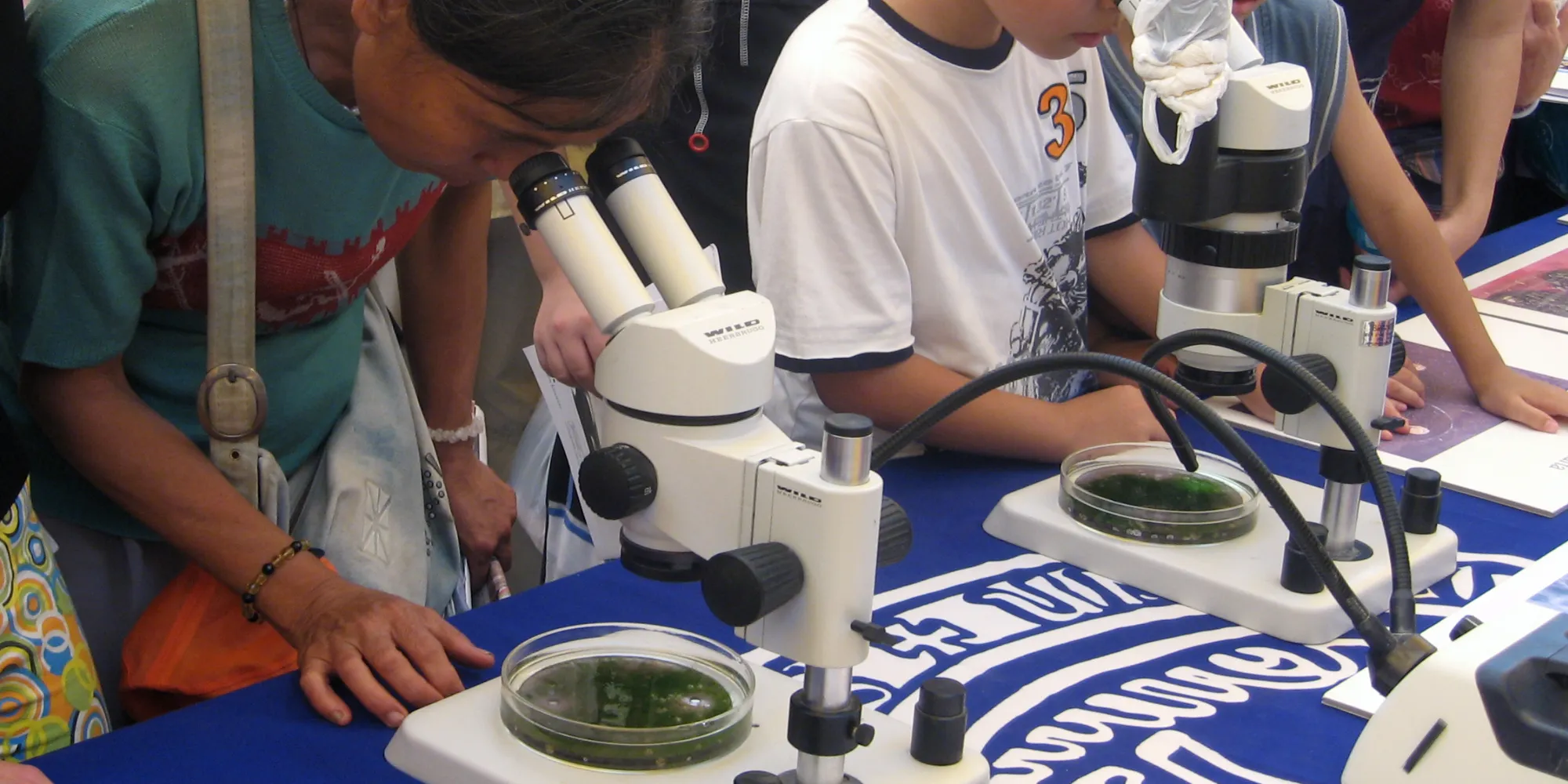 BiodivOcean investigate the plates