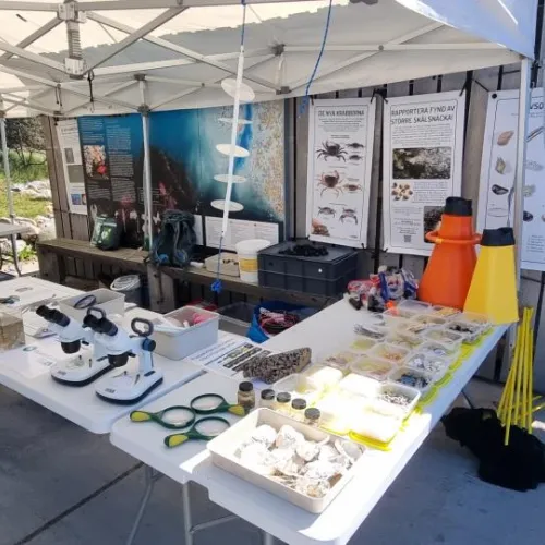 Västerhavsveckan Resö