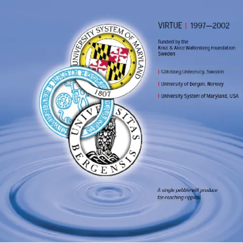 VIRTUE activities report