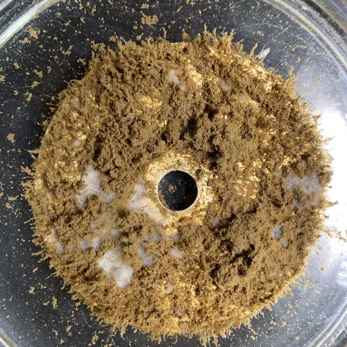 Photo: J. Adam Frederick