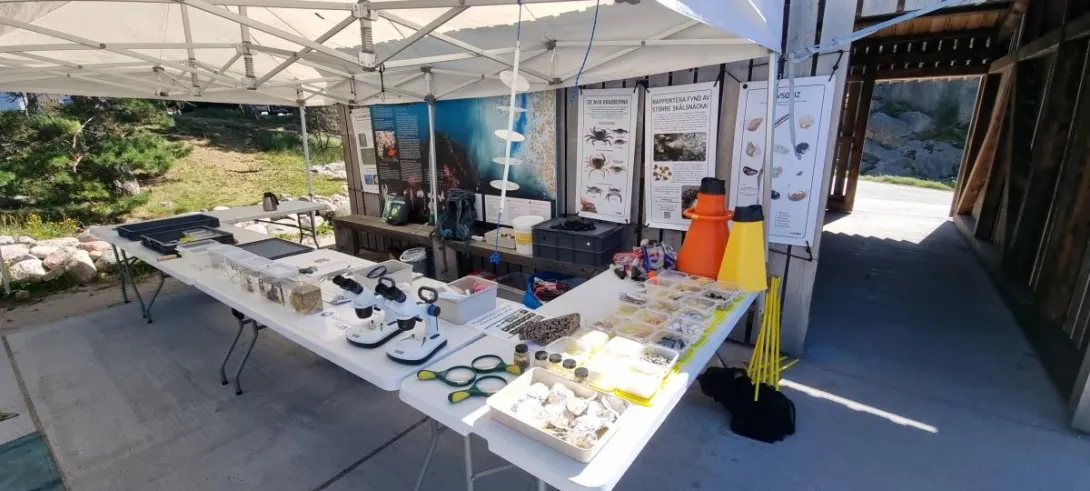 Västerhavsveckan Resö