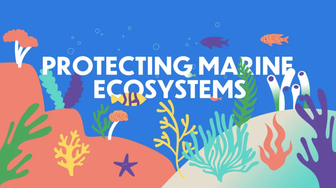 Co-Creating the BiodivOcean Video